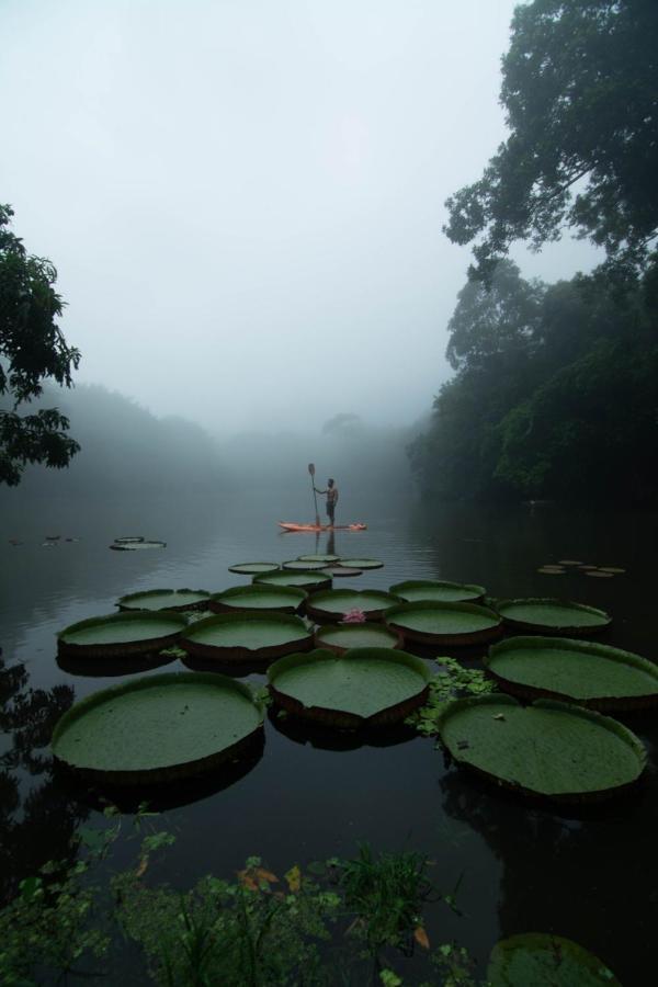 Los Chocuacos. Guácimo Exterior foto