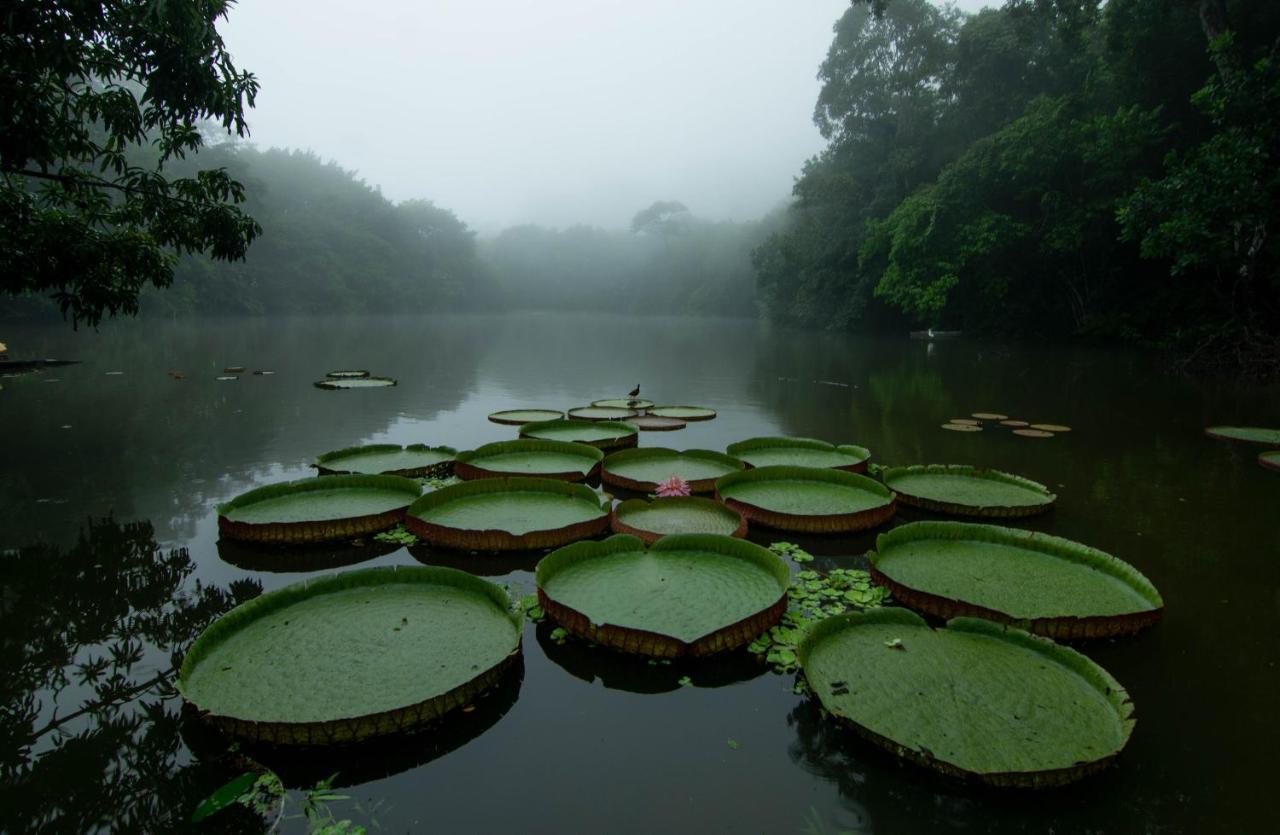 Los Chocuacos. Guácimo Exterior foto