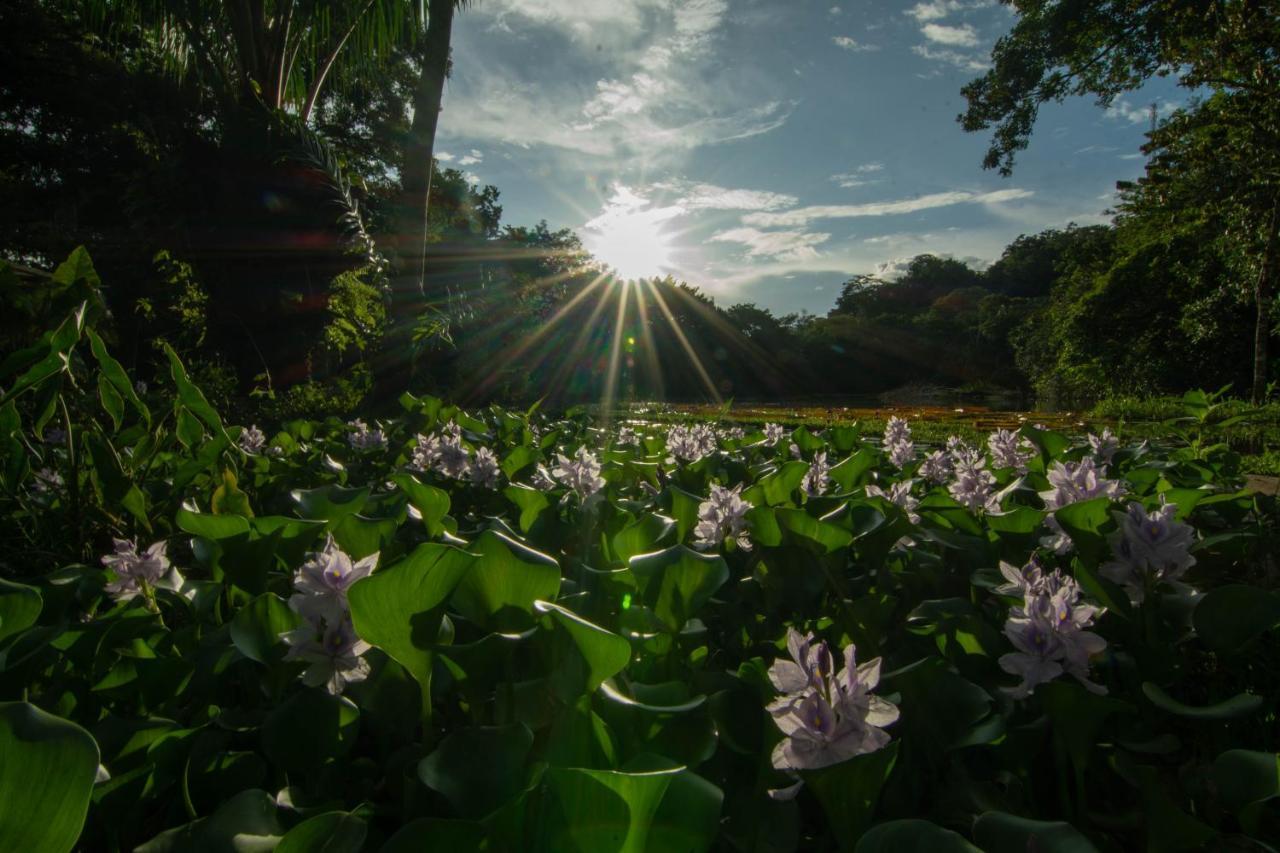 Los Chocuacos. Guácimo Exterior foto