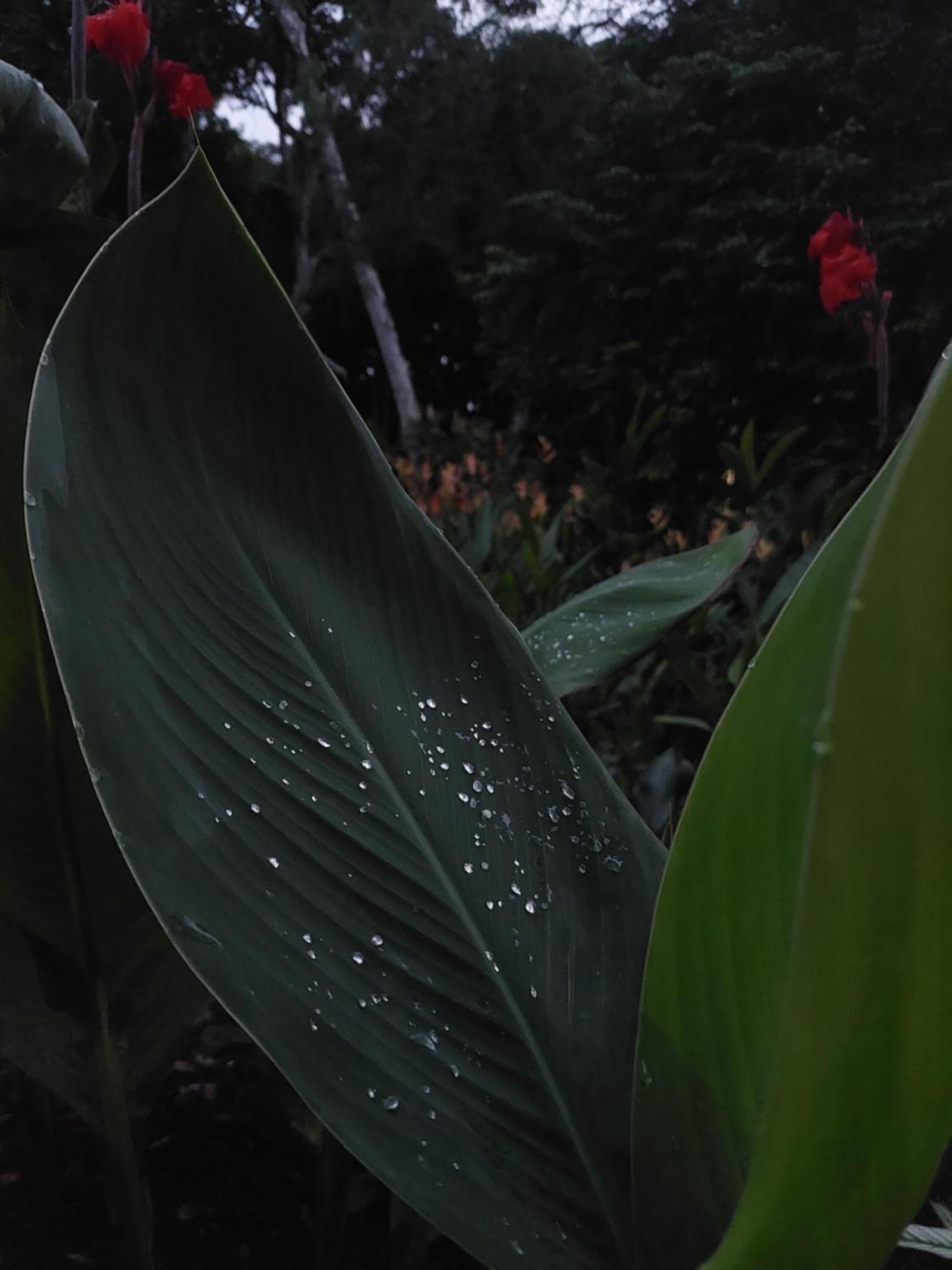 Los Chocuacos. Guácimo Exterior foto